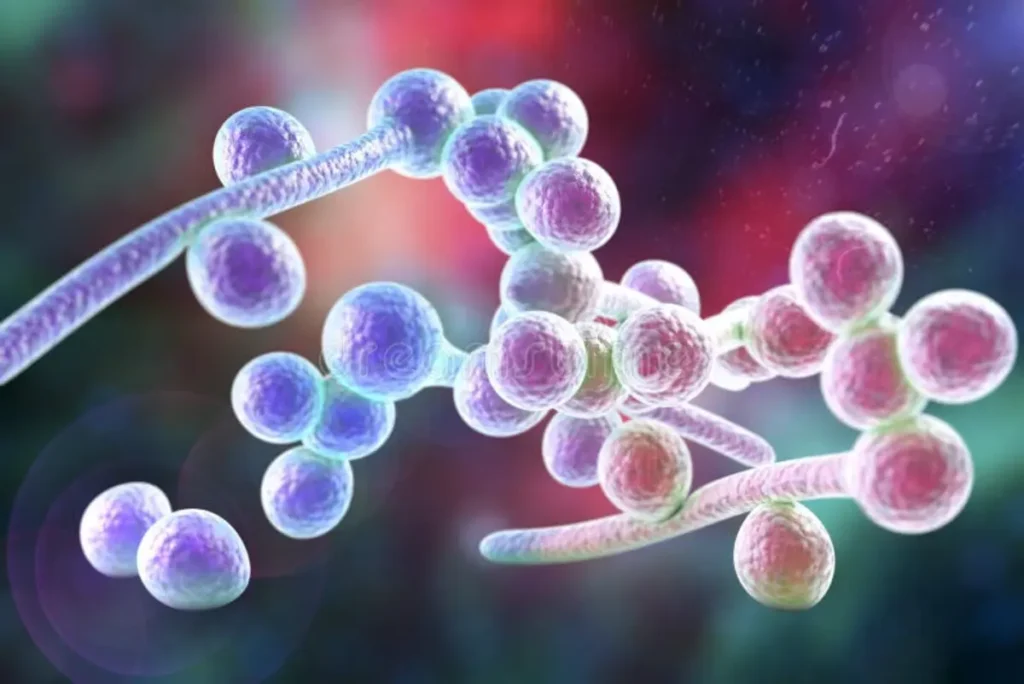 candida infection, washington medical clinic